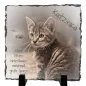 Preview: Katzenbild Tiergrab Geschenk für Tierfreunde