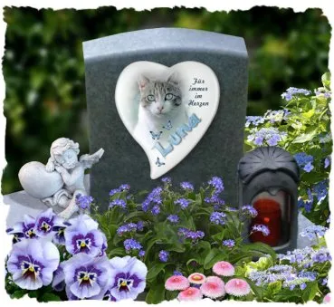 Porzellanfoto Katze in Form eines Herzens