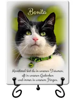 Bild für Grab - Andenken an Ihre Katze