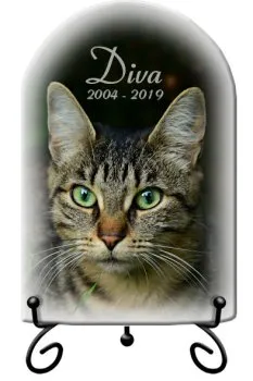 Grabstein-Foto-Katze