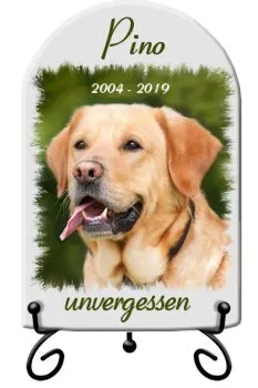 Grabfoto Hund