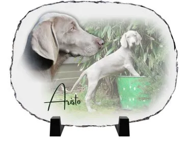 Tierbild Hund auf Schiefer -Erinnerung an unvergessliche Momente