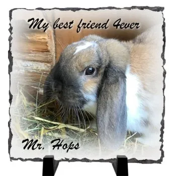 Geschenkidee für echte Tierfreunde Kaninchenbild auf Schiefer