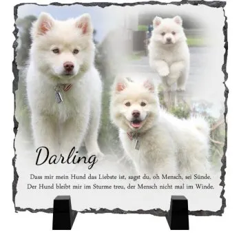 Geschenkidee für Tierfreunde