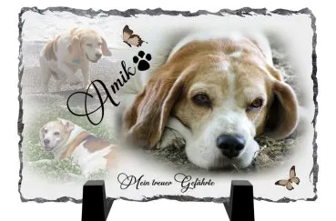 Fotogeschenk Hund