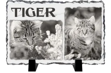 Katze - Originelles Geschenk für Tierfreunde