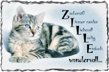 Schieferbild Katze mit Foto - Geschenk für Tierfreunde
