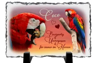 Haustiere-Fotoplatte aus Schiefer