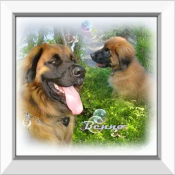 Gerahmtes Bild oder Uhr - weiss, schlicht und modern